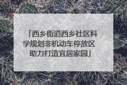 西乡街道西乡社区科学规划非机动车停放区 助力打造宜居家园