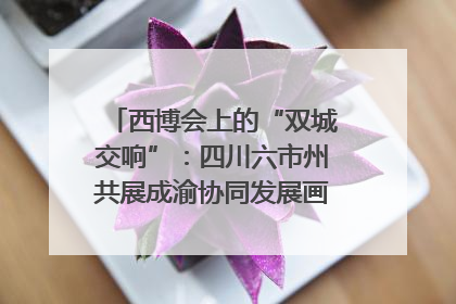 西博会上的“双城交响”：四川六市州共展成渝协同发展画卷｜西博视界
