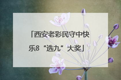 西安老彩民守中快乐8“选九”大奖