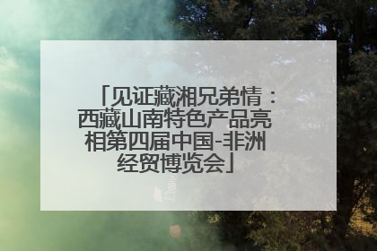 见证藏湘兄弟情：西藏山南特色产品亮相第四届中国-非洲经贸博览会