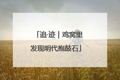 追·迹｜鸡窝里发现明代抱鼓石