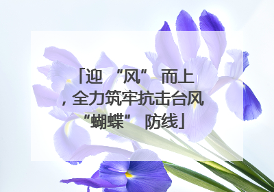迎 “风” 而上，全力筑牢抗击台风 “蝴蝶” 防线