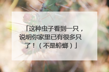 这种虫子看到一只，说明你家里已有很多只了！（不是蟑螂）