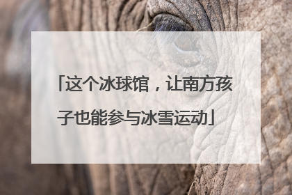 这个冰球馆，让南方孩子也能参与冰雪运动