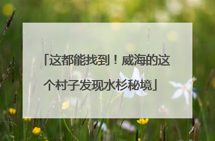 这都能找到！威海的这个村子发现水杉秘境