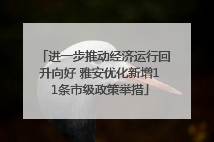 进一步推动经济运行回升向好 雅安优化新增11条市级政策举措