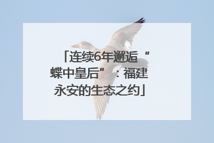 连续6年邂逅“蝶中皇后”：福建永安的生态之约