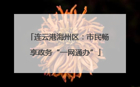 连云港海州区：市民畅享政务“一网通办”