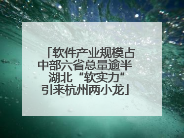 软件产业规模占中部六省总量逾半 湖北“软实力”引来杭州两小龙