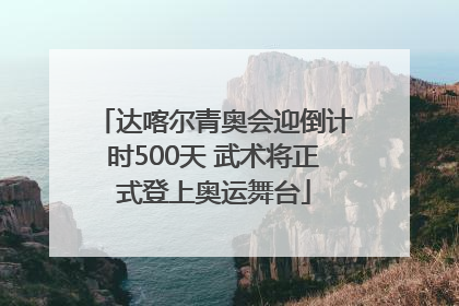 达喀尔青奥会迎倒计时500天 武术将正式登上奥运舞台