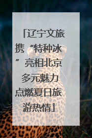 辽宁文旅携“特种冰”亮相北京 多元魅力点燃夏日旅游热情