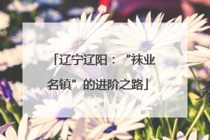 辽宁辽阳：“袜业名镇”的进阶之路