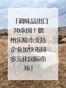 调味品出口70余国！德州乐陵市支持企业加快布局多元化国际市场