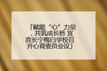 赋能“心”力量，共筑成长桥 宜宾长宁梅白学校召开心育委员会议