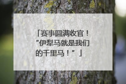 赛事圆满收官！“伊犁马就是我们的千里马！”