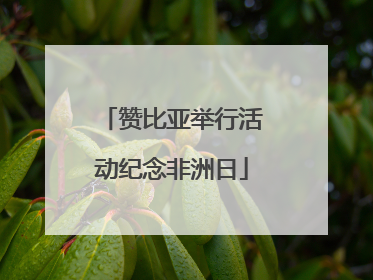 赞比亚举行活动纪念非洲日