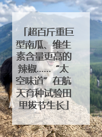 超百斤重巨型南瓜、维生素含量更高的辣椒……“太空味道”在航天育种试验田里拔节生长