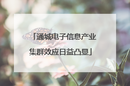 通城电子信息产业集群效应日益凸显
