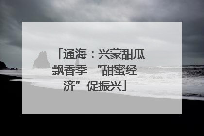 通海：兴蒙甜瓜飘香季 “甜蜜经济”促振兴