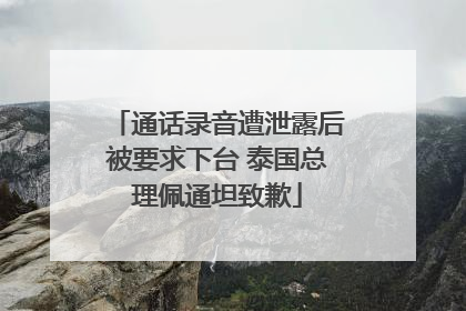 通话录音遭泄露后被要求下台 泰国总理佩通坦致歉