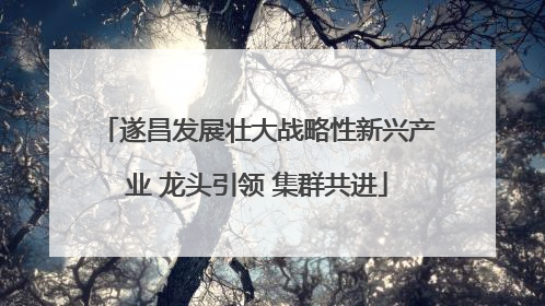 遂昌发展壮大战略性新兴产业 龙头引领 集群共进