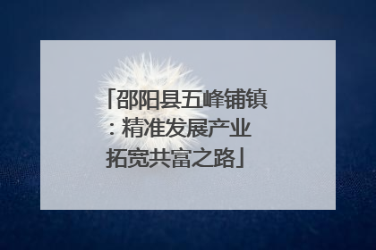 邵阳县五峰铺镇：精准发展产业 拓宽共富之路