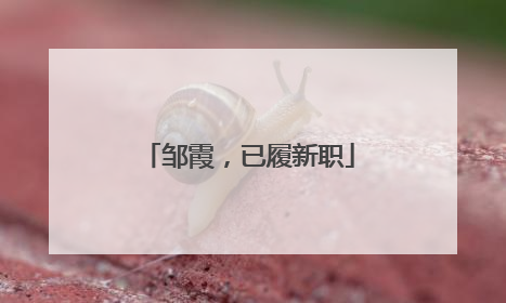 邹霞，已履新职