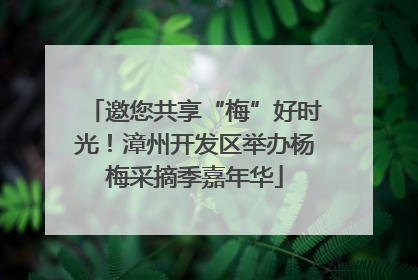邀您共享“梅”好时光！漳州开发区举办杨梅采摘季嘉年华