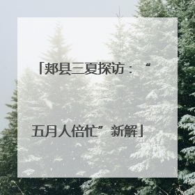 郏县三夏探访：“五月人倍忙”新解