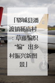 郓城县潘渡镇杨庙村：草藤编织“编”出乡村振兴新图景
