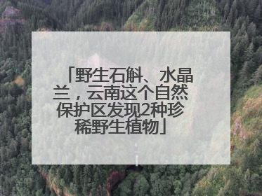 野生石斛、水晶兰，云南这个自然保护区发现2种珍稀野生植物