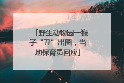 野生动物园一猴子“丑”出圈，当地保育员回应