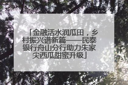 金融活水润瓜田，乡村振兴谱新篇——民泰银行舟山分行助力朱家尖西瓜甜蜜升级