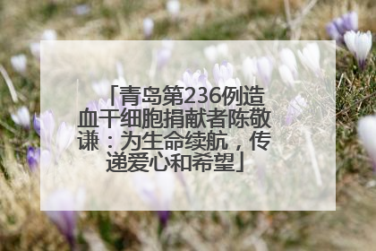 青岛第236例造血干细胞捐献者陈敬谦：为生命续航，传递爱心和希望