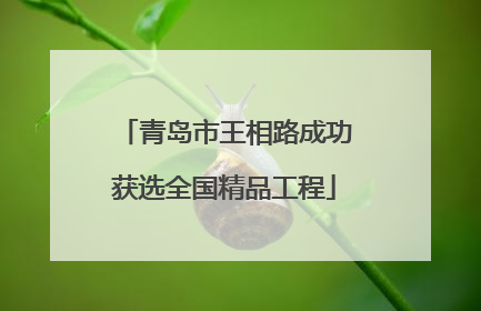 青岛市王相路成功获选全国精品工程
