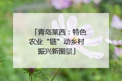 青岛莱西：特色农业“链”动乡村振兴新图景
