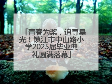 青春为桨，追寻星光！镇江市中山路小学2025届毕业典礼圆满落幕
