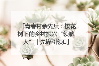 青春村余先兵：樱花树下的乡村振兴“领航人”｜先锋引领⑪