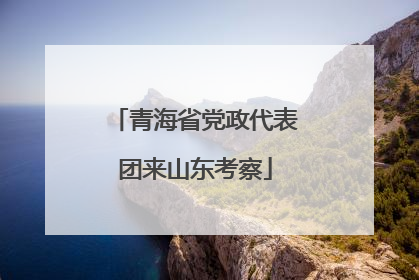 青海省党政代表团来山东考察