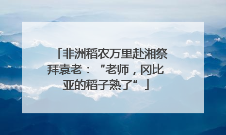 非洲稻农万里赴湘祭拜袁老：“老师，冈比亚的稻子熟了”