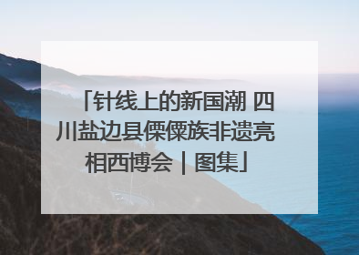 针线上的新国潮 四川盐边县傈僳族非遗亮相西博会｜图集
