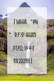 铺就“梅”好幸福路 共绘乡村致富图