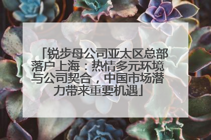 锐步母公司亚太区总部落户上海：热情多元环境与公司契合，中国市场潜力带来重要机遇