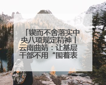 锲而不舍落实中央八项规定精神丨云南曲靖：让基层干部不用“围着表格转”