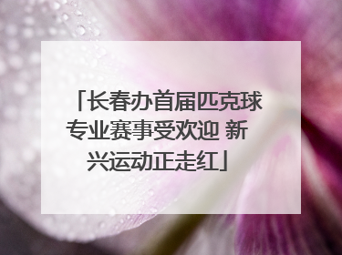 长春办首届匹克球专业赛事受欢迎 新兴运动正走红