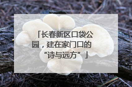 长春新区口袋公园，建在家门口的“诗与远方”