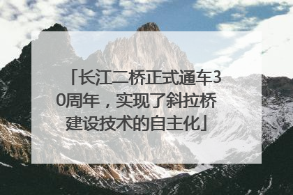长江二桥正式通车30周年，实现了斜拉桥建设技术的自主化