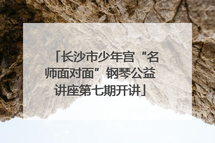 长沙市少年宫“名师面对面”钢琴公益讲座第七期开讲
