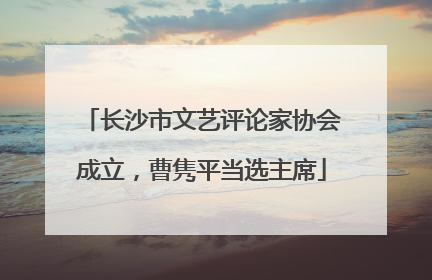 长沙市文艺评论家协会成立，曹隽平当选主席