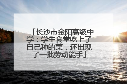 长沙市金阳高级中学：学生食堂吃上了自己种的菜，还出现了一批劳动能手